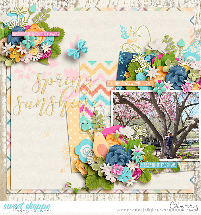 Spring Sunshine