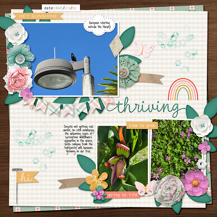 spring to life