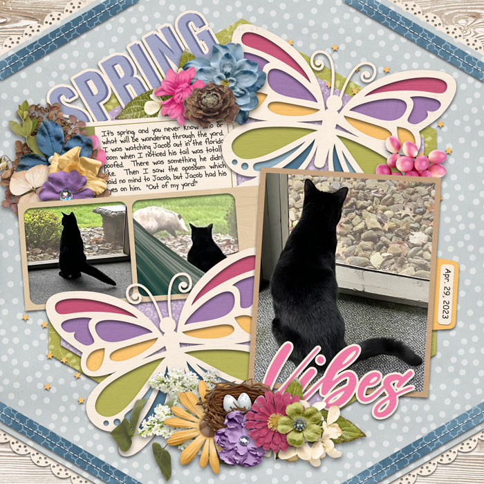 Spring Vibes