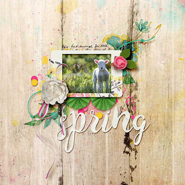 Spring