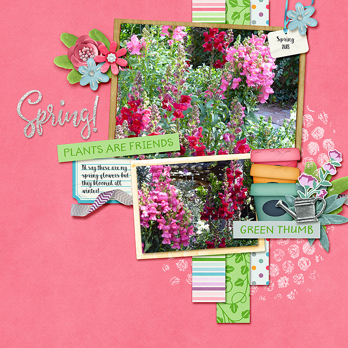 Spring