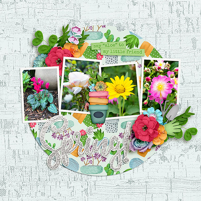 Spring