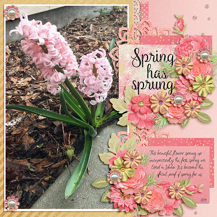 spring