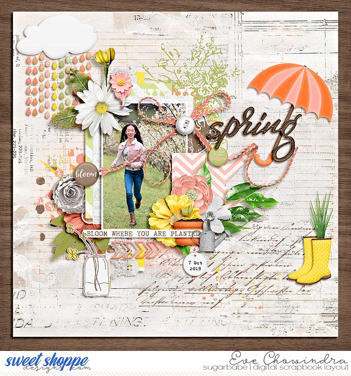 spring