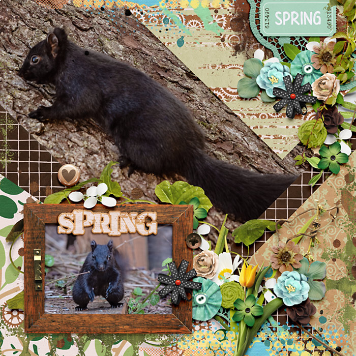 Spring