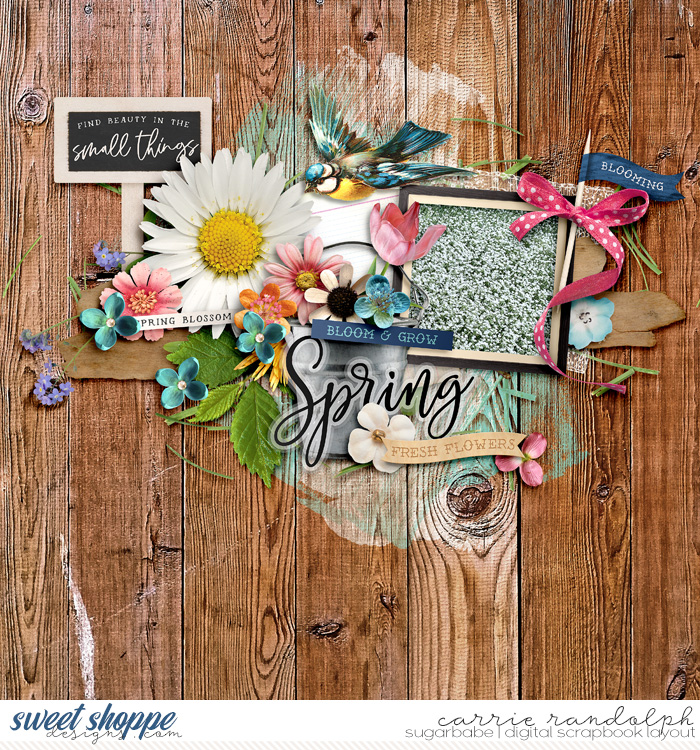 Spring