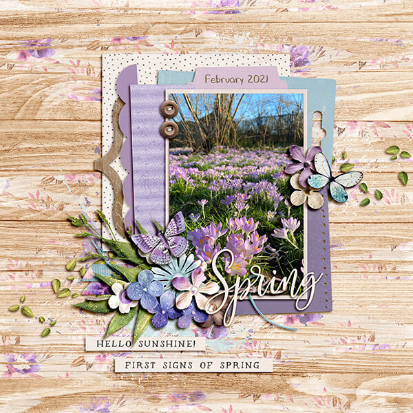 Spring