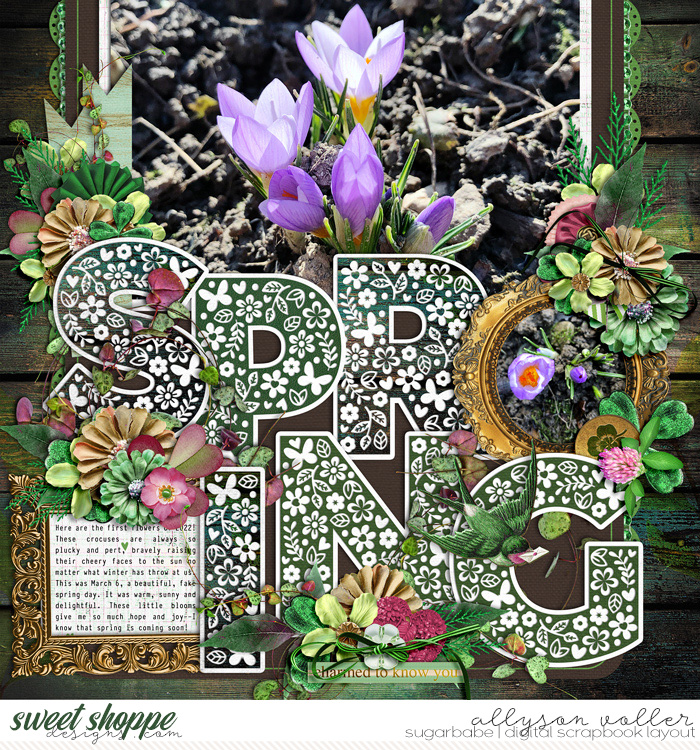 Spring