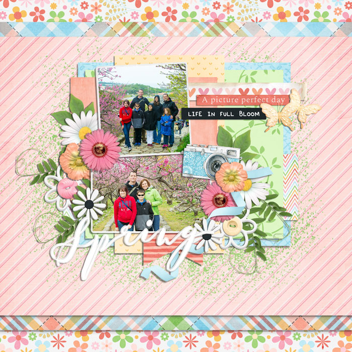 spring