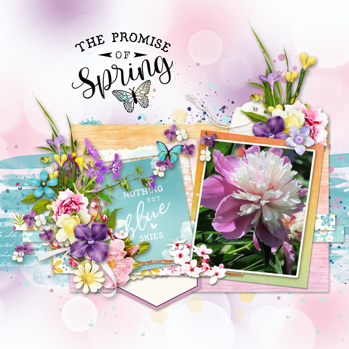 Spring