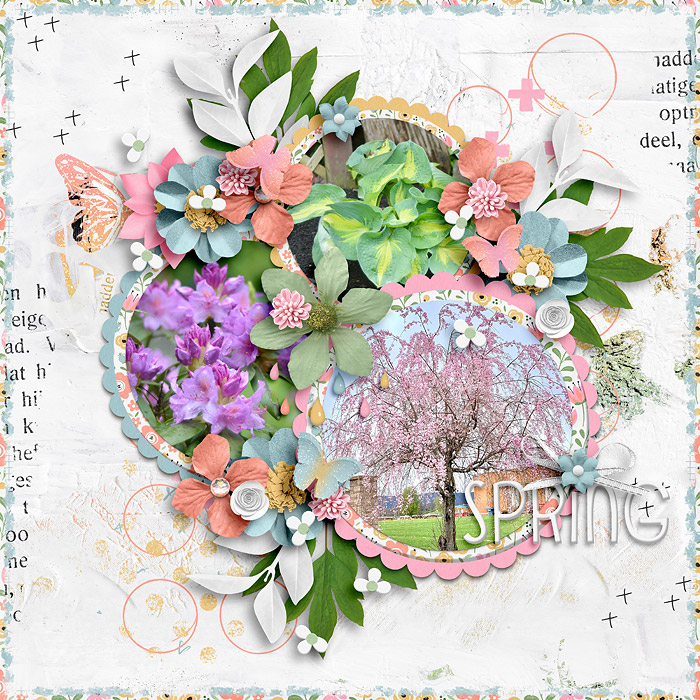 Spring