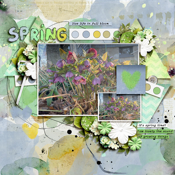 Spring