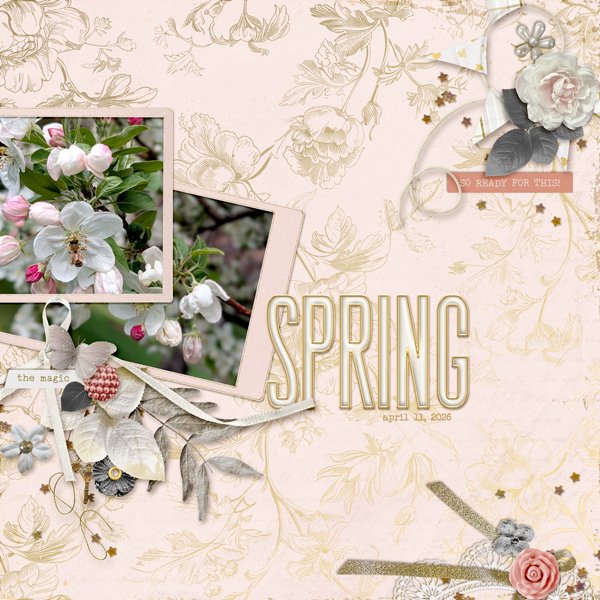 spring