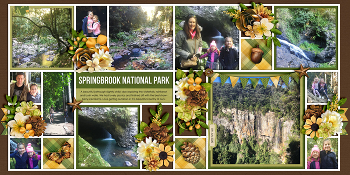 Springbrook National Park