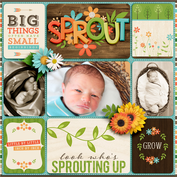 Sprout