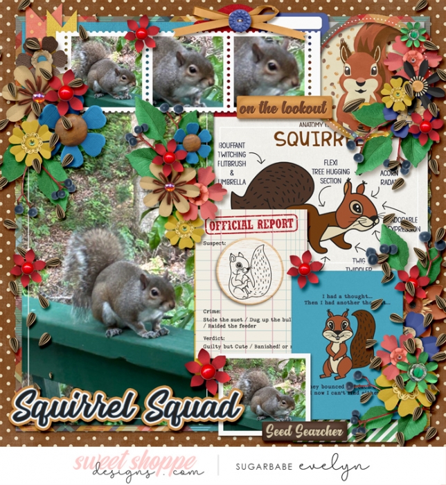 Squirrel Squad