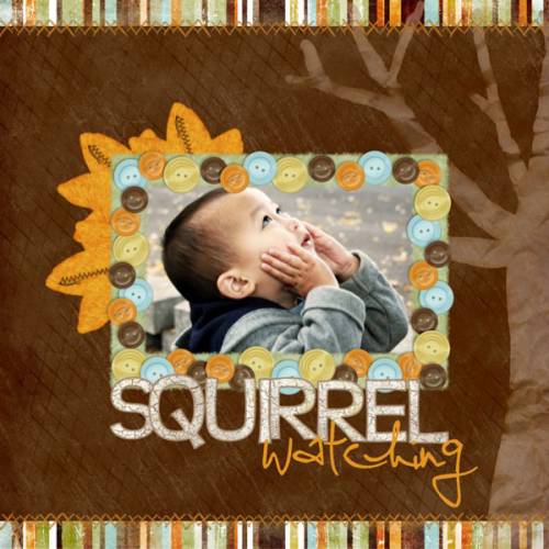 Squirrel Watching