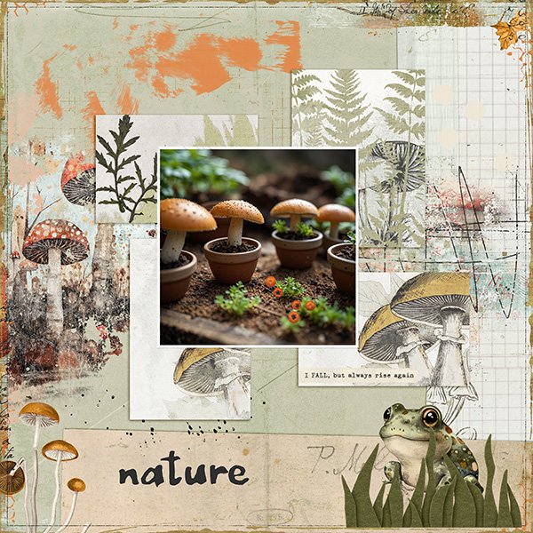 ss 2026 04 seeds and 4 pocket.jpg