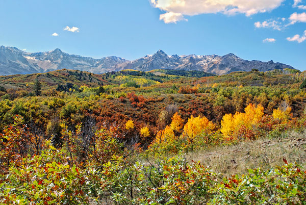 SS# 31 Fall Colors