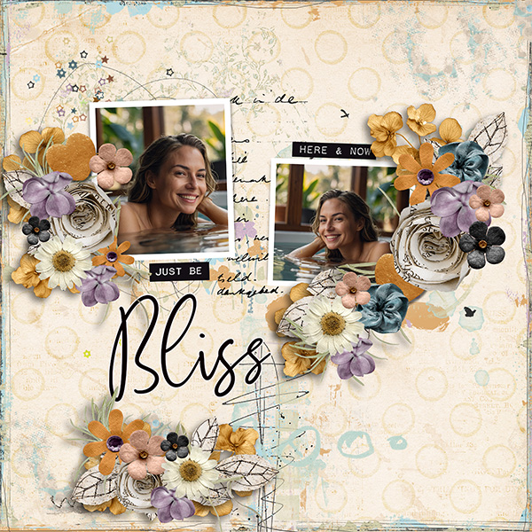 ss_2026_02_bliss_and_cluster_crazy