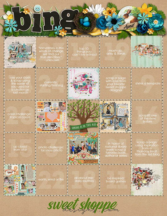 SSD-Challenge-Bingo-April-2016-Ronda