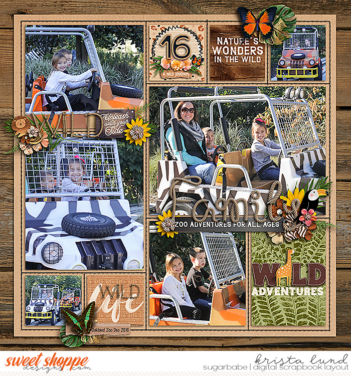SSD-KL-2016_12-ZooAdventures