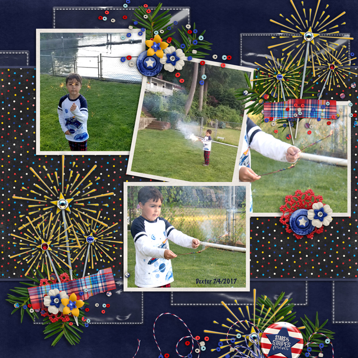Star Spangled by Clever Monkey Graphics