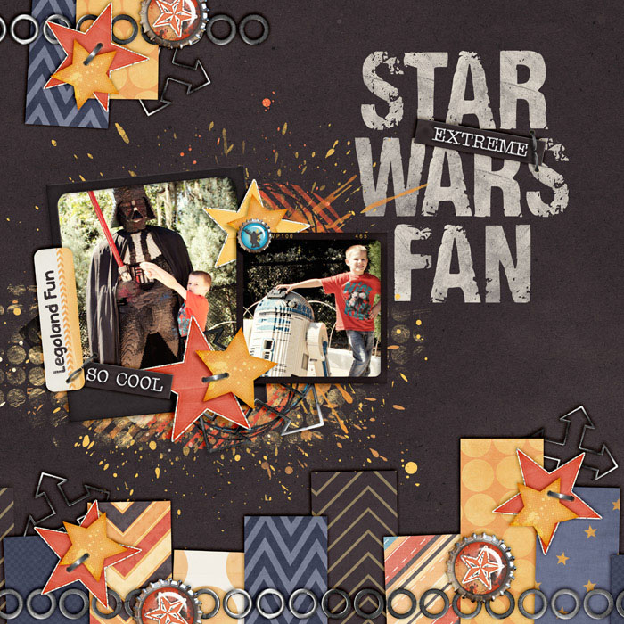 Star Wars Fan