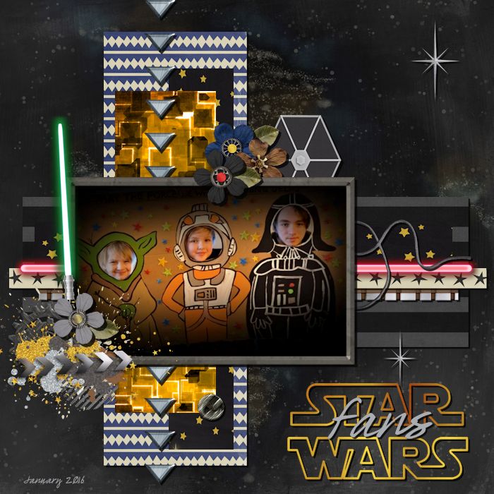 Star Wars Fans