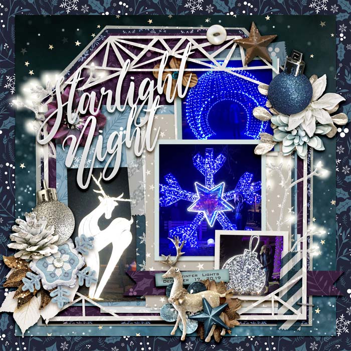 Starlight Night