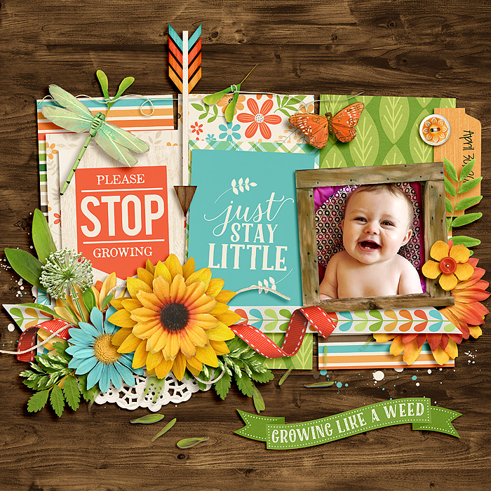 Stay Little