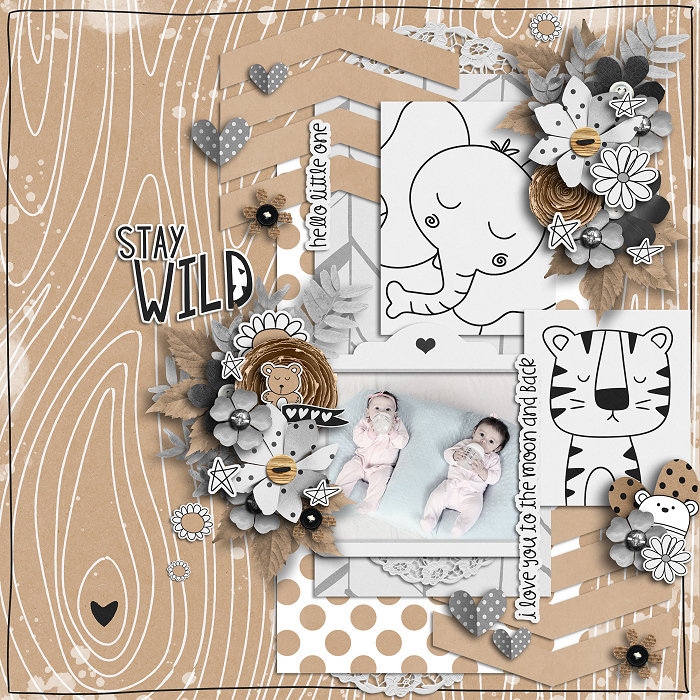Stay Wild