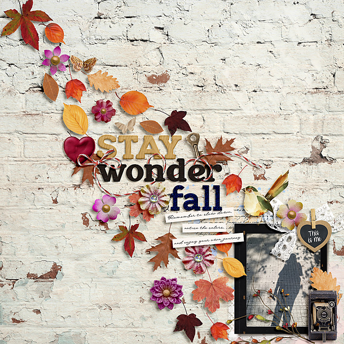 Stay Wonder-Fall