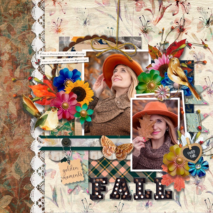 Stay wonder fall
