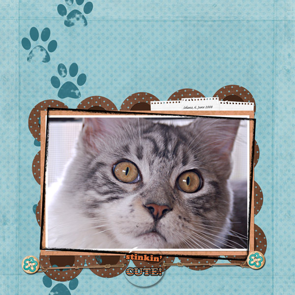 Stinkin' CUTE!