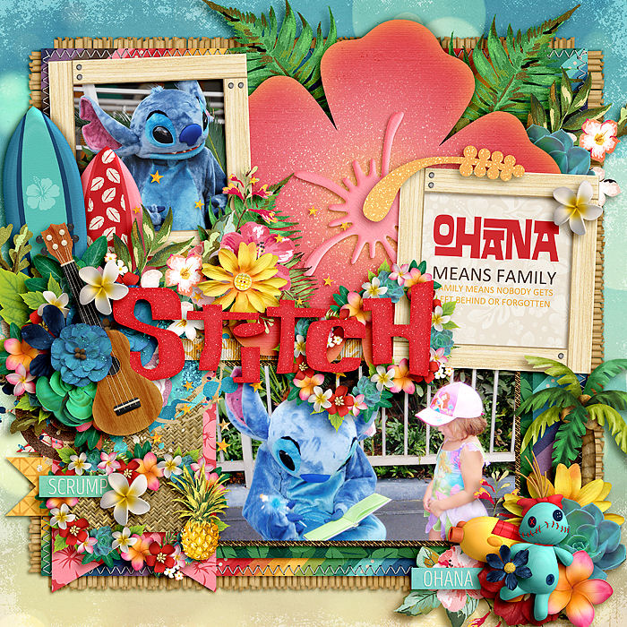 Stitch