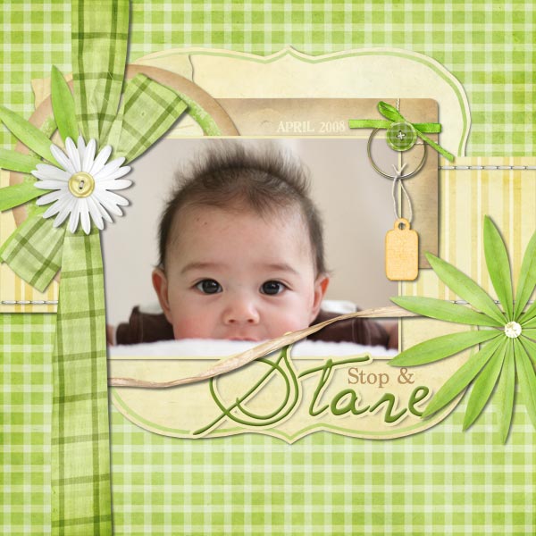 Stop and Stare