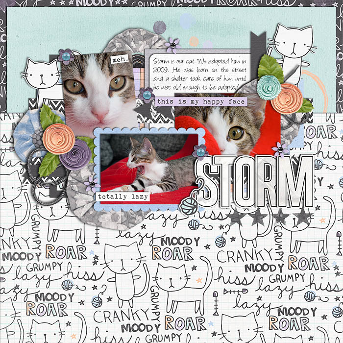 Storm