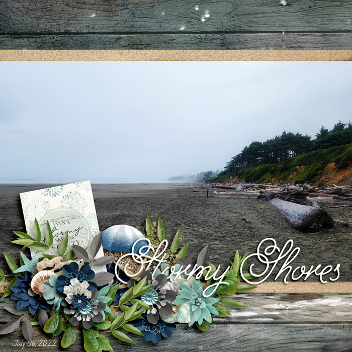 Stormy Shores