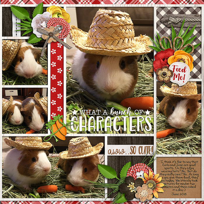 Straw hats