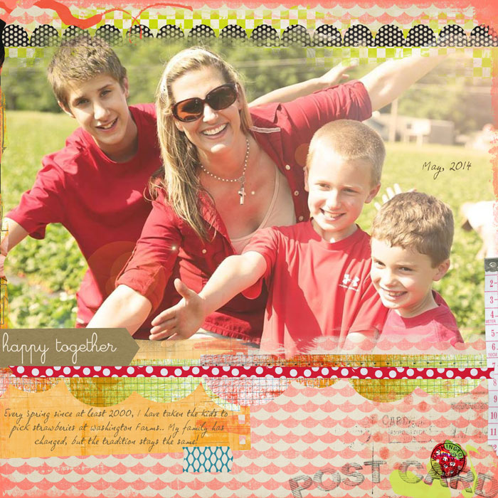Strawberries 2014