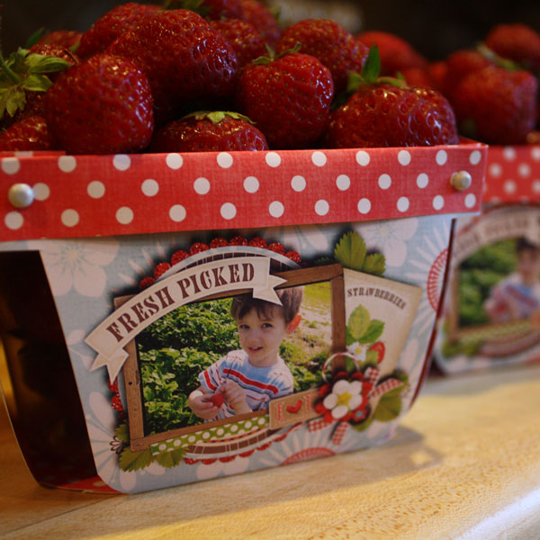 Strawberries Basket