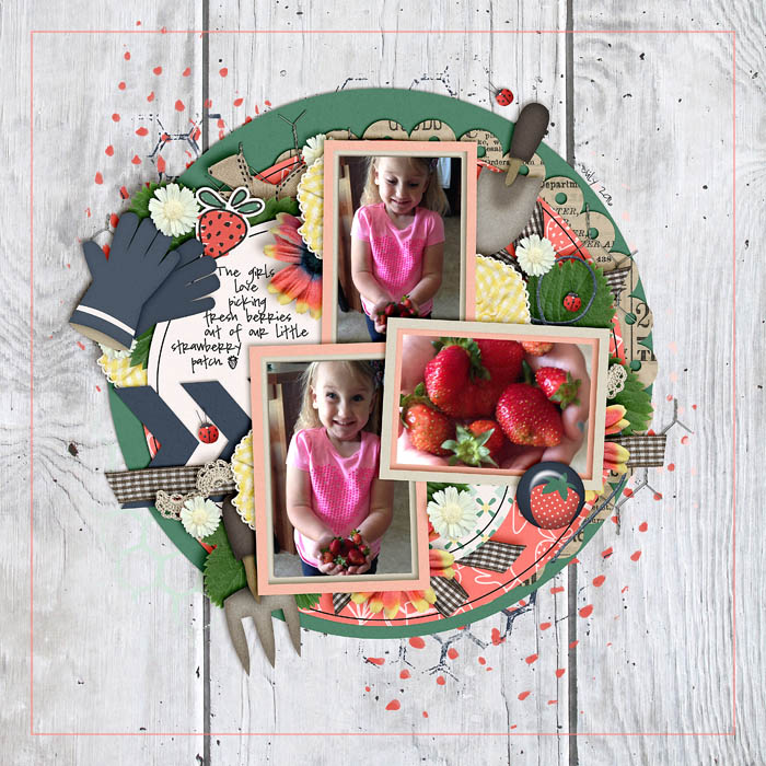 Strawberries