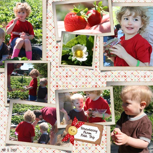 Strawberry Farm