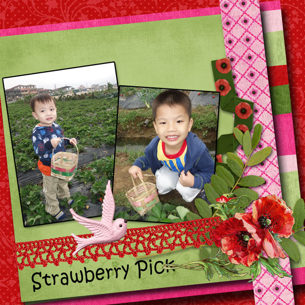 Strawberry Pick