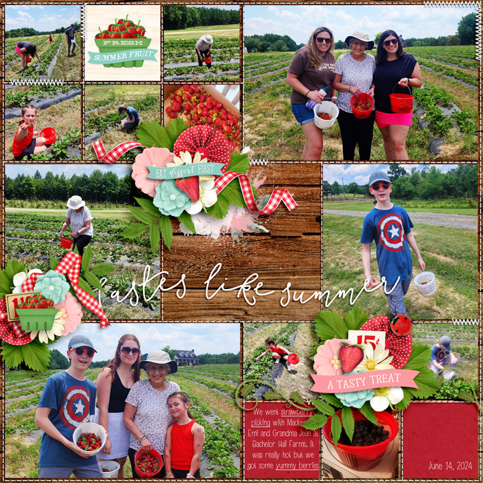 Strawberry Pickin' 24