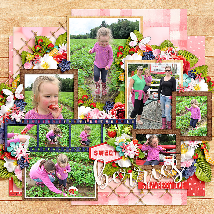 Strawberry Picking 1