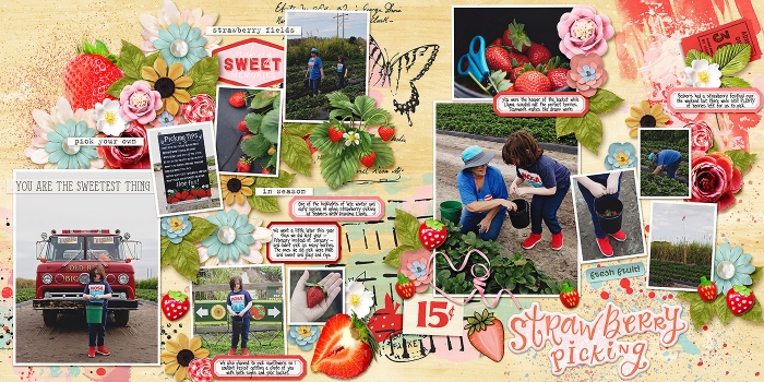 strawberry picking - full