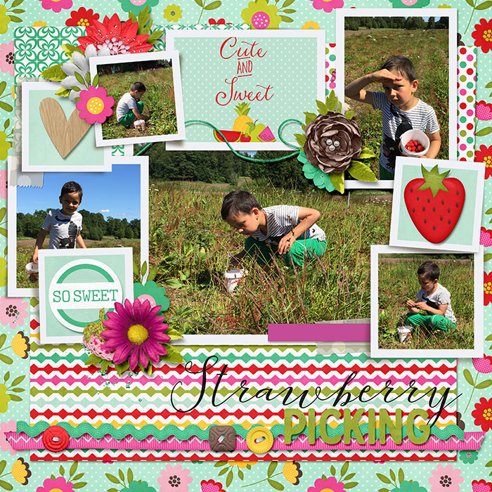 strawberry picking
