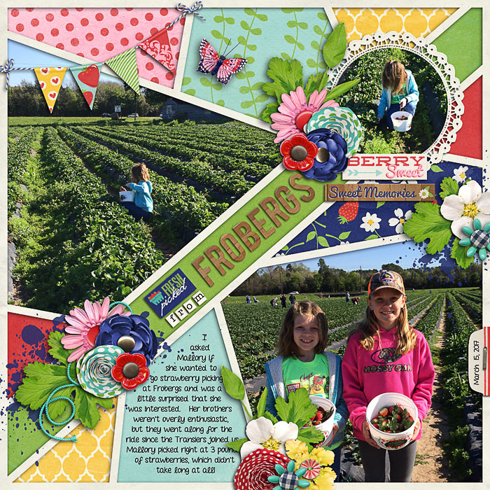 Strawberry picking